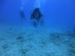 Hawaii Scuba divng 27