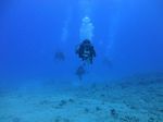 Hawaii Scuba divng 28