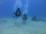 Hawaii Scuba divng 36