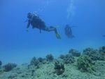 Hawaii Scuba divng 37