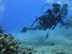 Hawaii Scuba divng 42