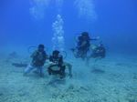 Hawaii Scuba divng 54