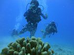 Hawaii Scuba divng 56