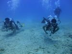 Hawaii Scuba divng 59