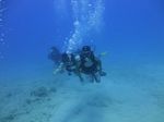 Hawaii Scuba divng 60