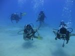 Hawaii Scuba divng 63