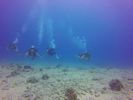 Hawaii Scuba divng 12