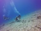 Hawaii Scuba divng 19