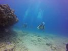 Hawaii Scuba divng 20