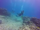 Hawaii Scuba divng 24