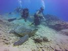 Hawaii Scuba divng 28