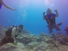 Hawaii Scuba divng 31