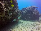 Hawaii Scuba divng 32