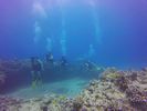 Hawaii Scuba divng 33