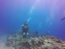 Hawaii Scuba divng 36