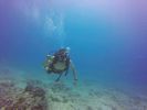 Hawaii Scuba divng 40