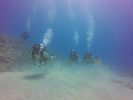 Hawaii Scuba divng 42