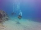 Hawaii Scuba divng 43