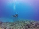 Hawaii Scuba divng 44