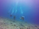 Hawaii Scuba divng 46