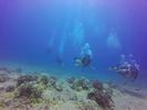 Hawaii Scuba divng 47