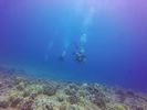 Hawaii Scuba divng 49