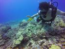 Hawaii Scuba divng 51