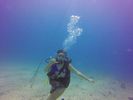 Hawaii Scuba divng 59