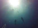 Hawaii Scuba divng 61