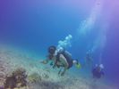 Hawaii Scuba divng 65