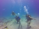 Hawaii Scuba divng 69