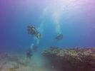 Hawaii Scuba divng 70