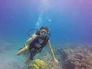 Hawaii Scuba divng 73