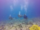 Hawaii Scuba divng 74