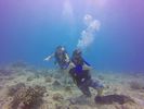 Hawaii Scuba divng 76