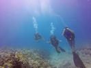 Hawaii Scuba divng 79