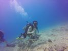 Hawaii Scuba divng 80