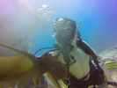 Hawaii Scuba divng 82