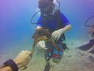 Hawaii Scuba divng 84