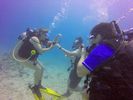 Hawaii Scuba divng 88