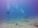 Hawaii Scuba divng 89