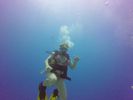 Hawaii Scuba divng 08