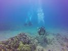 Hawaii Scuba divng 90