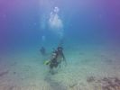 Hawaii Scuba divng 91