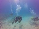 Hawaii Scuba divng 92