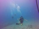 Hawaii Scuba divng 98