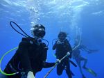 Hawaii Scuba divng 11