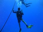 Hawaii Scuba divng 14