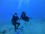 Hawaii Scuba divng 17