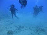 Hawaii Scuba divng 19